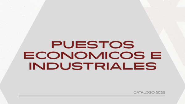 PUESTOS ECONOMICOS Y PUESTOS INDUSTRIALES